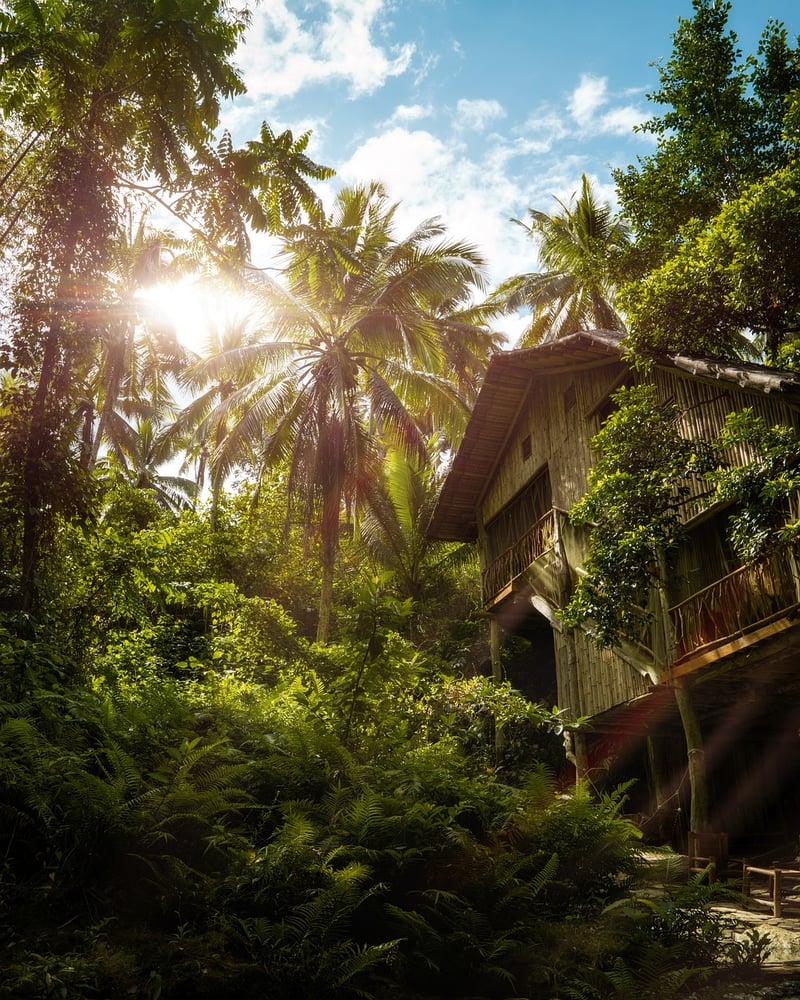 Tropical Treehouse Getaway